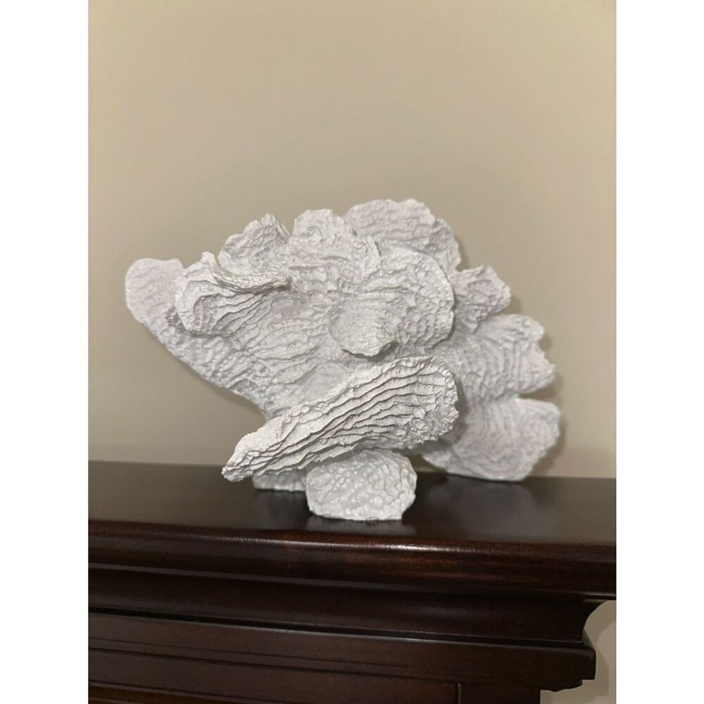 Coral Decor Sculpture